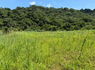 關西臨溪平坦農地