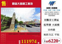 觀音大面積工業用地