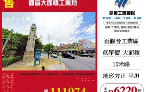 觀音大面積工業用地