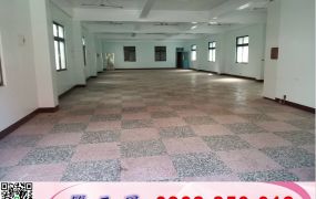 龜山工業區RC獨棟廠房/工業地廠房買賣租賃