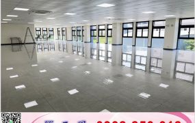 林口交流道全新氣派廠房/工業地廠房買賣租賃