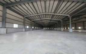 🐝琪琪推66快速路旁腹地挑高廠