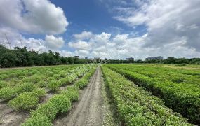 中彰投工業地 區段徵收農地 虎尾產業園區擴大計畫農地(二)