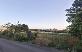 中壢雙面臨路便宜農地