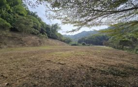 南投名間6千坪建地+農地