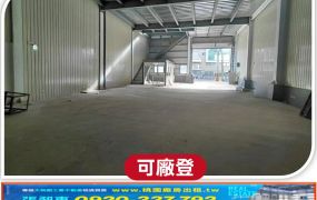 全新挑高鋼構廠房