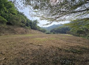 南投名間6千坪建地+農地