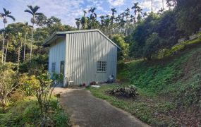 太平近學校公車景觀贈厝地