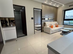 鳳山保泰全新裝潢2房+車位