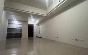 近水湳經貿國聚3房平車廈