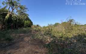 🌾南屯區｜都計內方正農地・1307坪・免土增稅・合法節稅首選