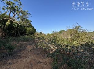 🌾南屯區｜都計內方正農地・1307坪・免土增稅・合法節稅首選