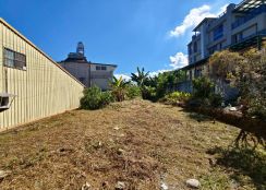 鹿谷麒麟潭隆鳳段乙工用地贈合法透天厝台中買屋賣房 土地王劉志忠