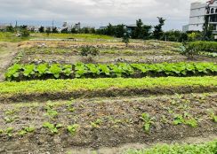永慶許書豪★冬山鄉永興路旁足坪美農地