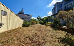 鹿谷麒麟潭隆鳳段乙工用地贈透天厝台中買屋賣房 土地王劉志忠