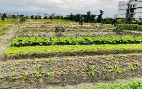 永慶許書豪★冬山鄉永興路旁足坪美農地