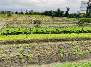 永慶許書豪★冬山鄉永興路旁足坪美農地
