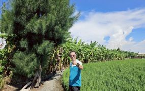 鹿港近天后宮東石段平坦農地台中買屋賣房 土地王劉志忠
