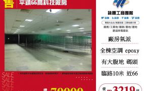 平鎮66高科技廠房