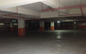 平鎮66高科技廠房