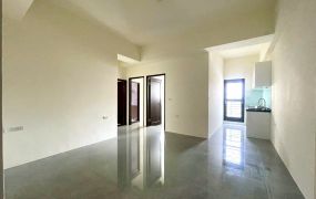 善化東勢寮全新三房平車華廈