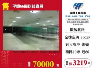 平鎮66高科技廠房