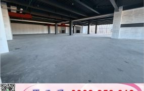 竹北生醫園區廠辦/工業地廠房買賣租賃