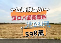 嘉縣溪口大面寬便宜農地