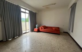 北屯景觀綠樹地大豪墅