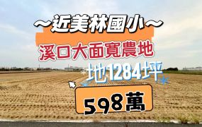 嘉縣溪口大面寬便宜農地