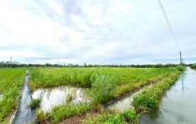 鹿草雙面路方正農地08-043 05-2337228