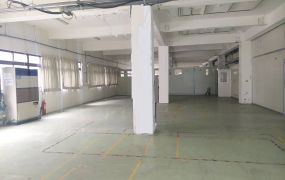 五股/挑高6米/獨棟廠房(可廠登) &bull;   新北市廠房買賣/工業地/建地/徵收農地/廠房出租