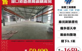 湖口新造挑高鋼構廠房