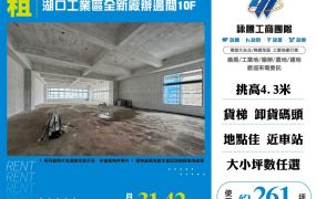 湖口工業區全新廠辦邊間10F