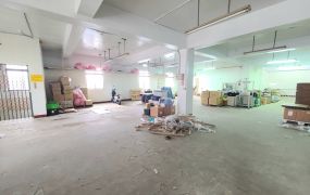 琪琪🐝推~八德國工業區稀有大面寬合法廠房