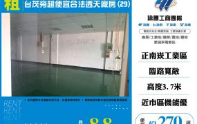 台茂旁超便宜合法透天廠房