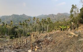 太平近學校公車站平緩農地
