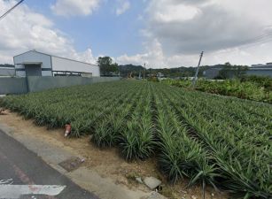 {租}仁武義大二路旁都內農地 ❇︎多塊可選