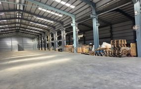 大園新穎挑高物流倉庫