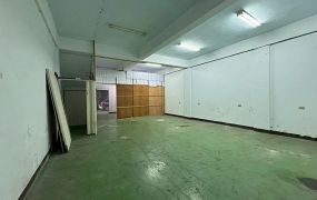 永豐工業區100坪透天工業廠房