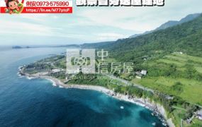 台東房地產 / 觀景台旁送屋建地