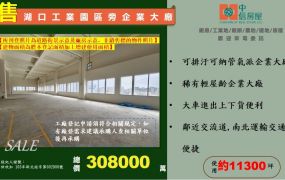 湖口工業園區旁可納管企業大廠