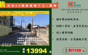 近台66稀有角地丁工+農地