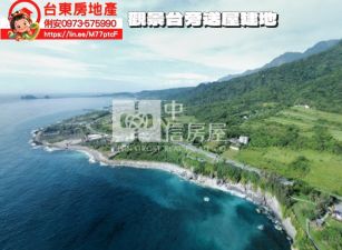 台東房地產 / 觀景台旁送屋建地