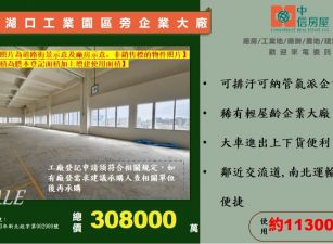 湖口工業園區旁可納管企業大廠