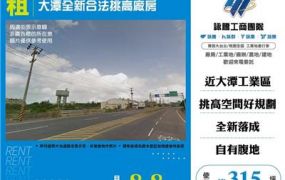 大潭全新合法挑高廠房