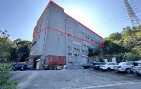 龜山漂亮挑高方正廠房