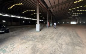 近林口交流道挑高7米鋼構倉庫廠房