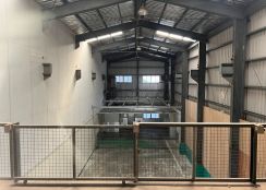 琪琪🐝推~近南崁交流道蘆竹小坪數收租廠房