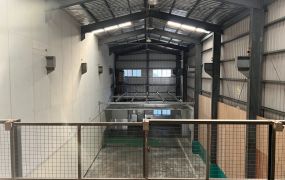 琪琪🐝推~近南崁交流道蘆竹小坪數收租廠房